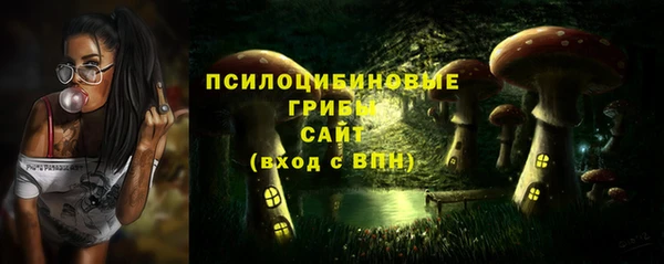 хмурый Алексин