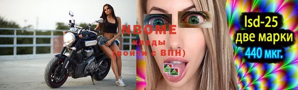 хмурый Алексин
