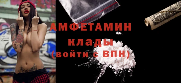 хмурый Алексин