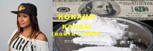 хмурый Алексин