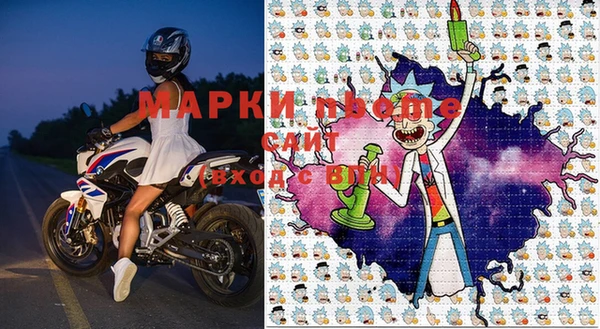хмурый Алексин