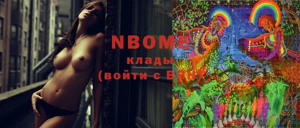 хмурый Алексин