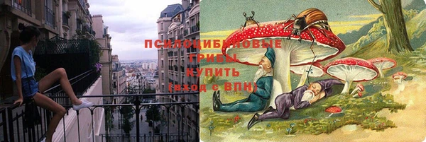 СК Алексеевка